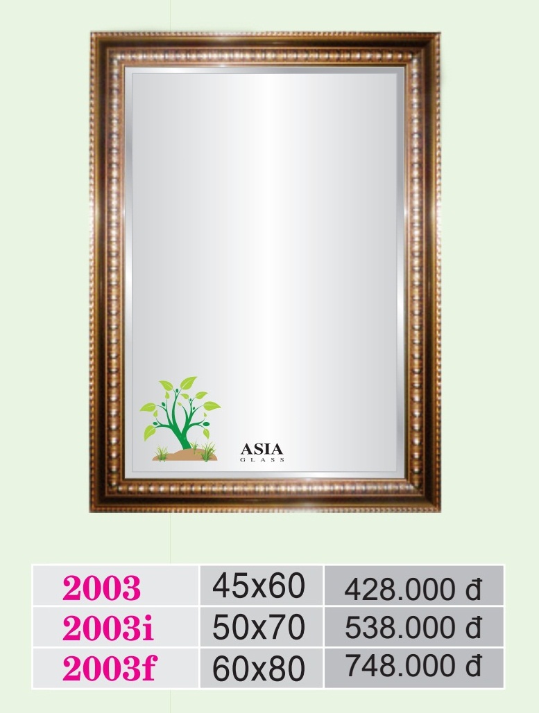 guong-soi-cao-cap-asia-a-2003