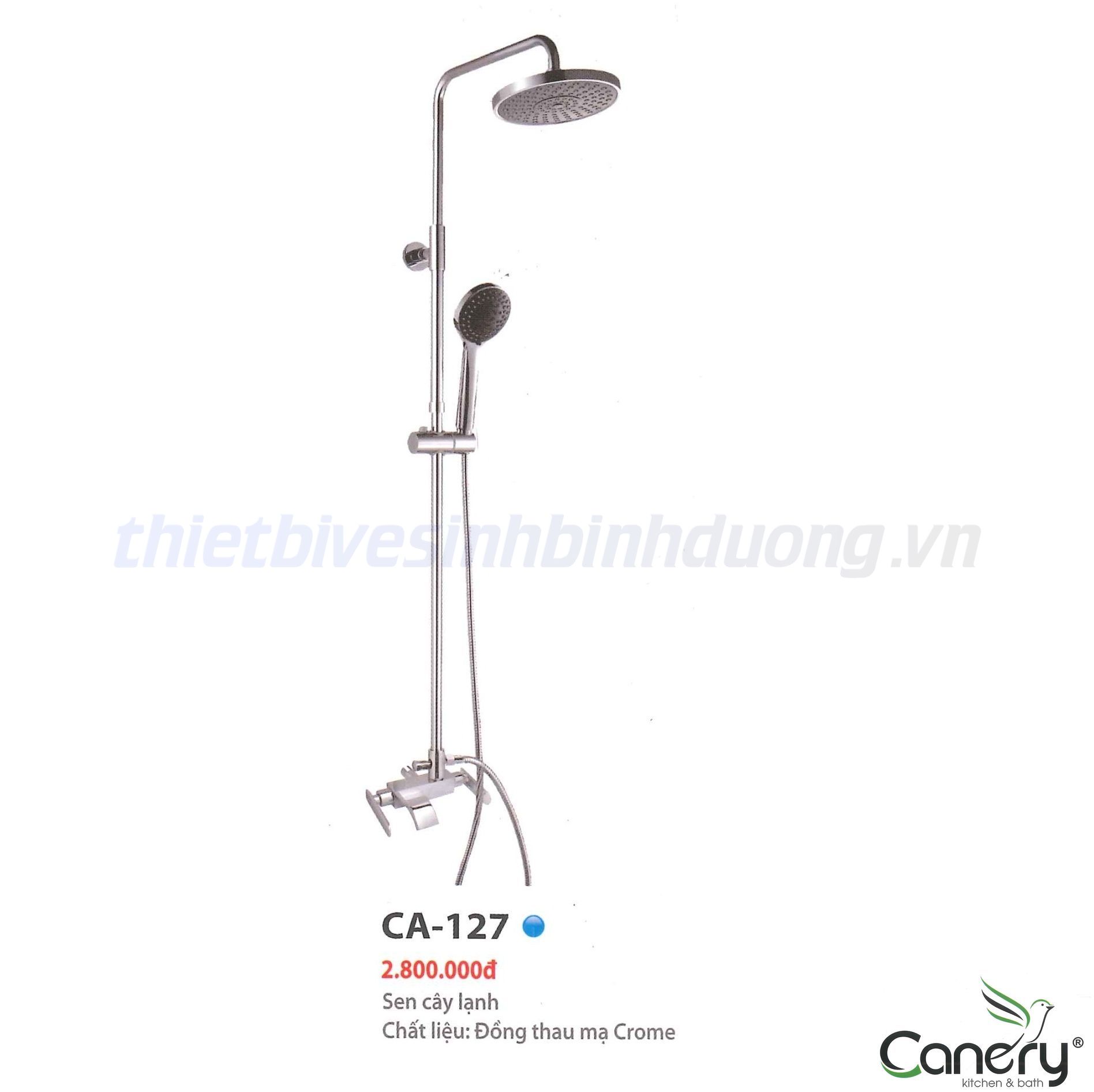 sen-cay-nong-lanh-canary-ca-127