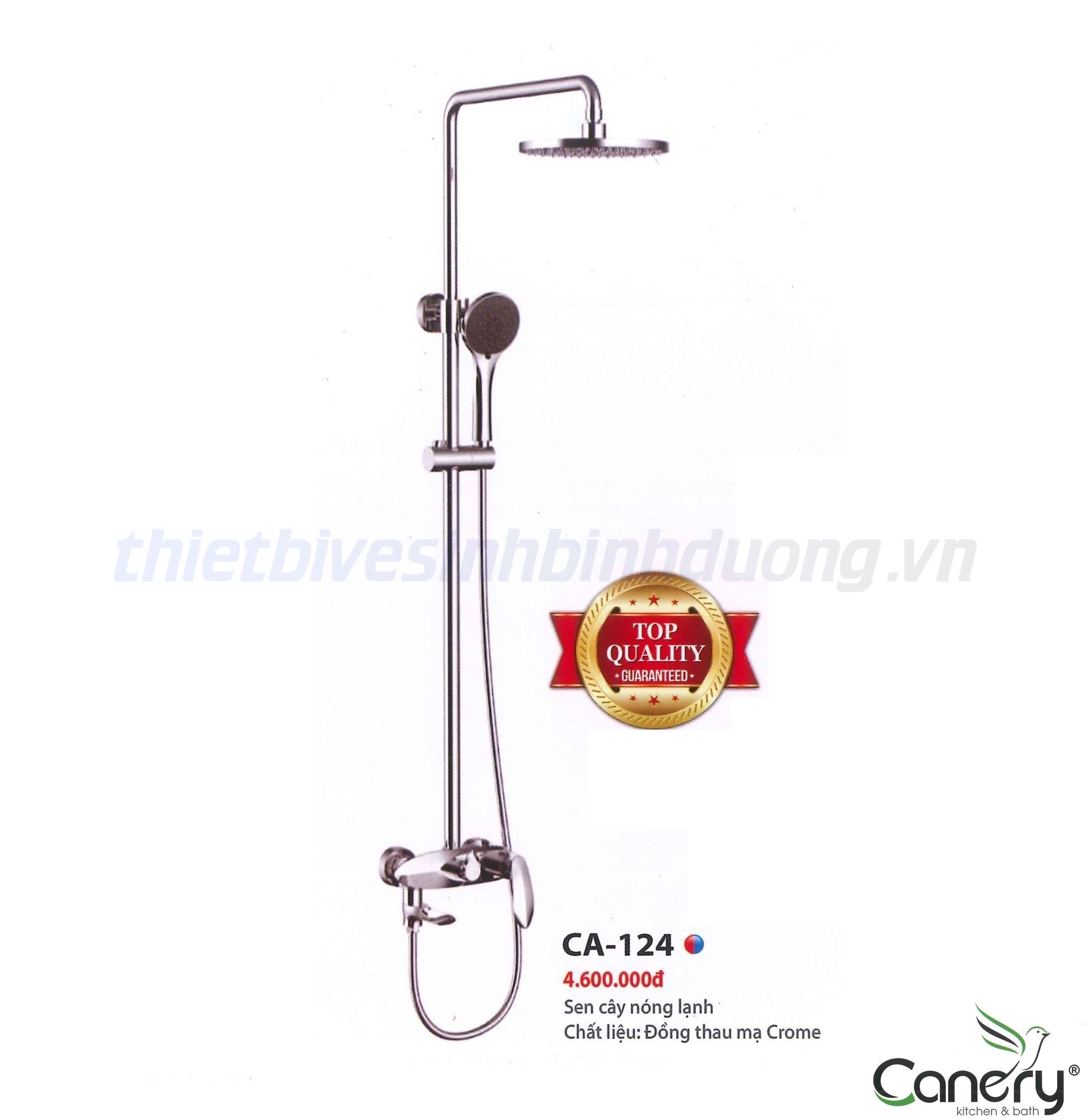 sen-cay-nong-lanh-canary-ca-124