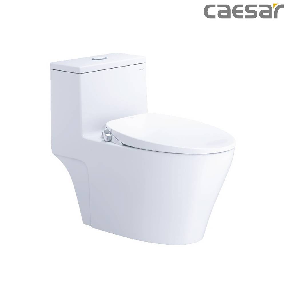 caesar-binh-duong-bon-cau-caesar-cd1356_taf060