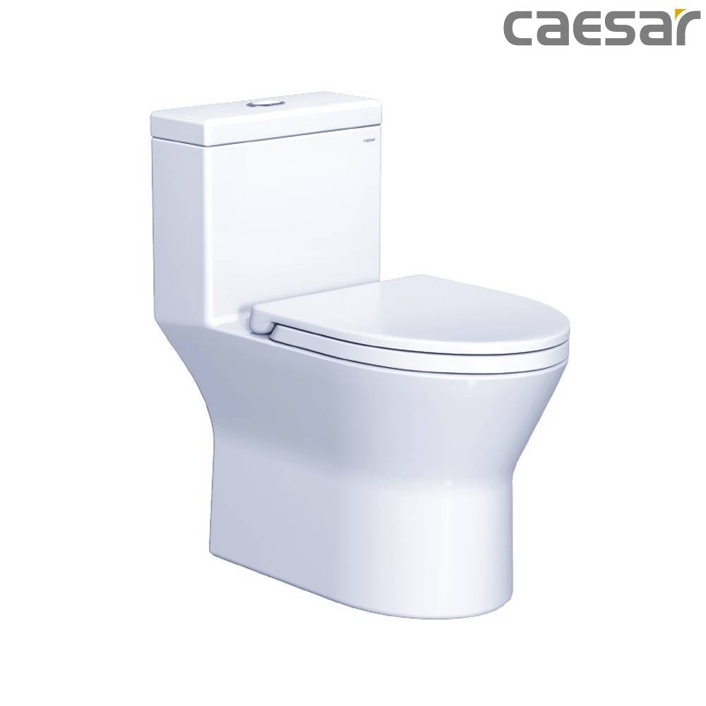 caesar-binh-duong-bon-cau-caesar-cd1374