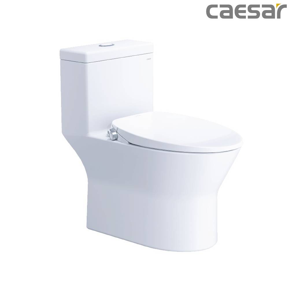 caesar-binh-duong-bon-cau-caesar-cd1374_taf060