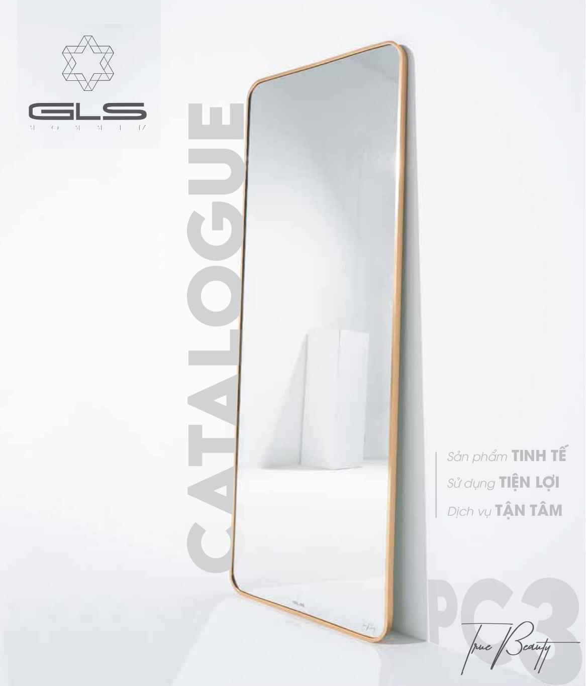 guong-soi-gls-catalogue-va-bang-gia-dai-ly-moi-nhat-2024