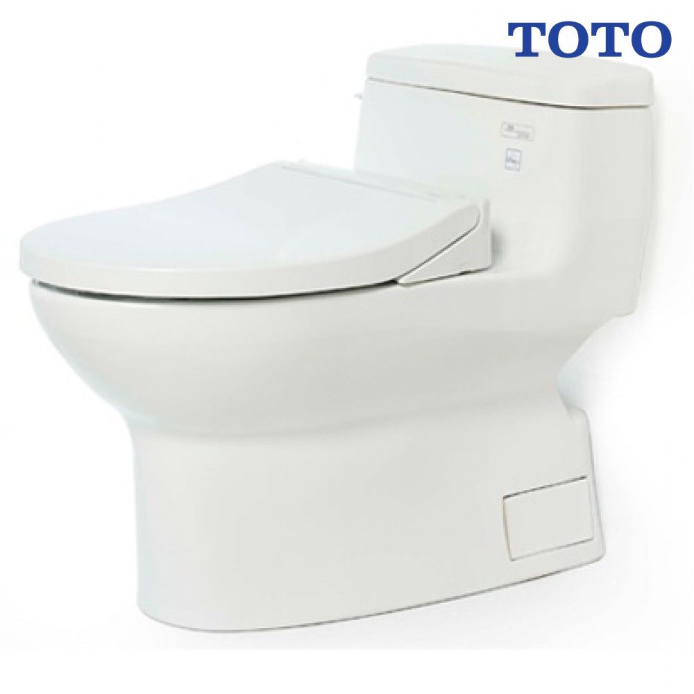 bon-cau-toto-ms884e2-nap-rua-co