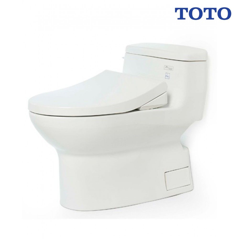 bon-cau-toto-ms884e4-nap-rua-co