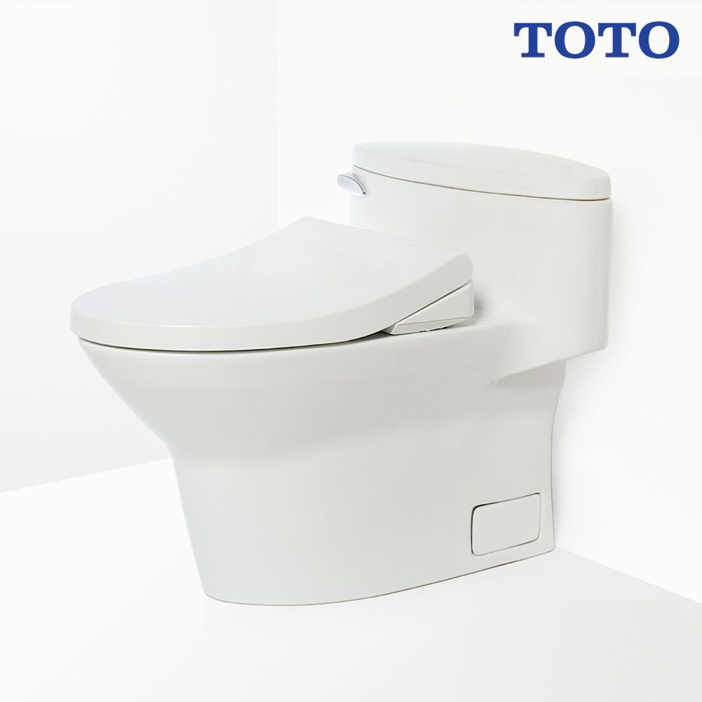 bon-cau-toto-ms904e4-nap-rua-co