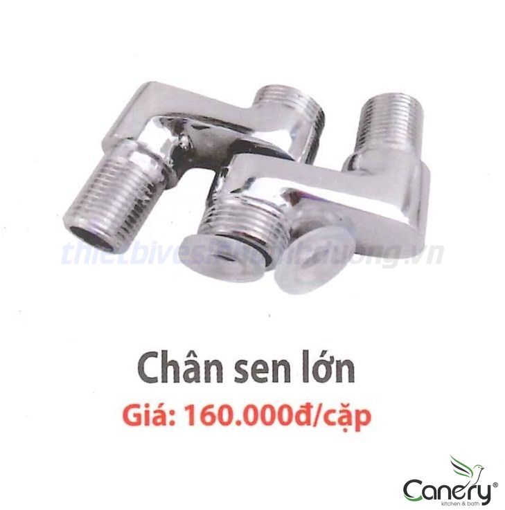 phu-kien-chan-sen-lon-canary