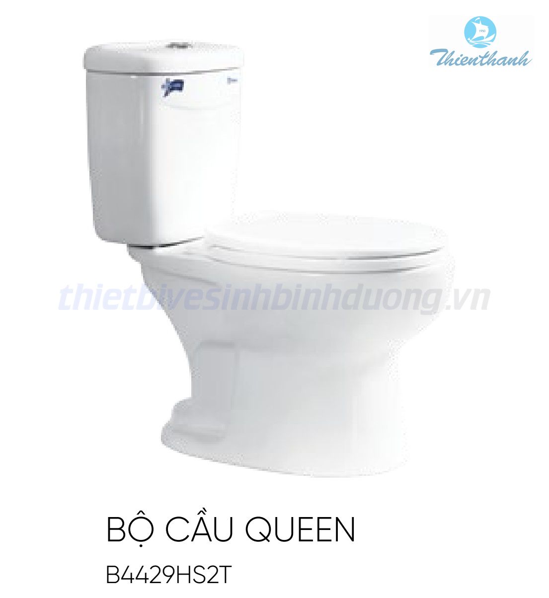 bon-cau-thien-thanh-queen-b4429hs2t