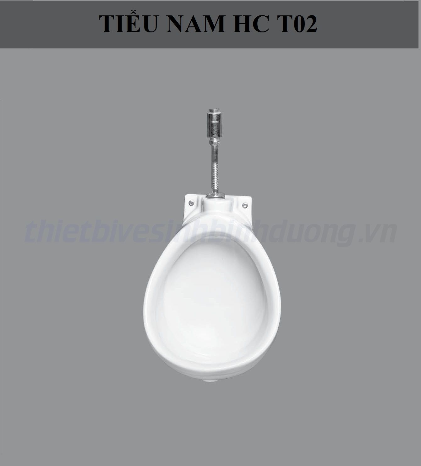bon-tieu-nam-hao-canh-hc-t02