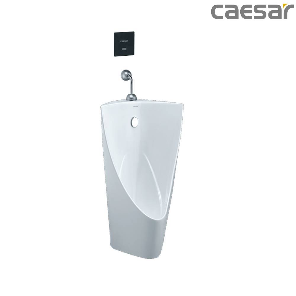 caesar-binh-duong-bon-tieu-caesar-u0232_a654
