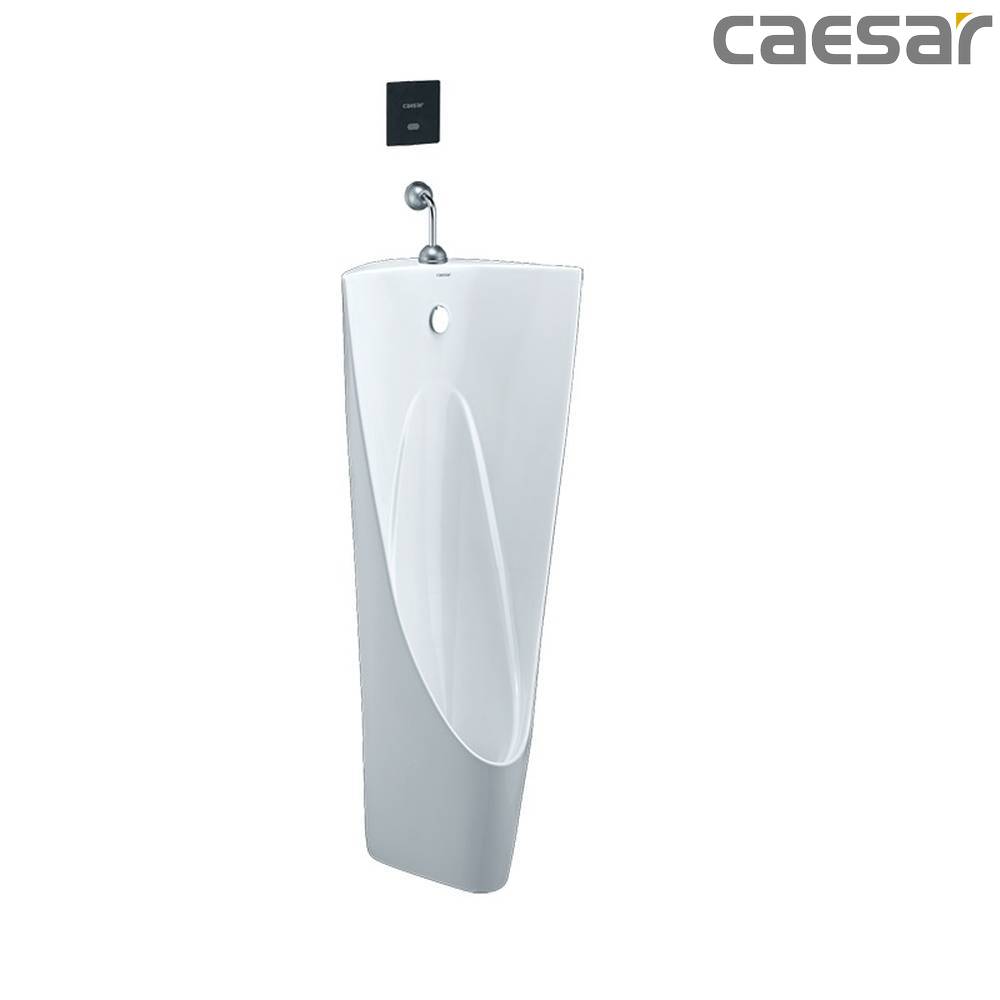 caesar-binh-duong-bon-tieu-caesar-u0239_a654