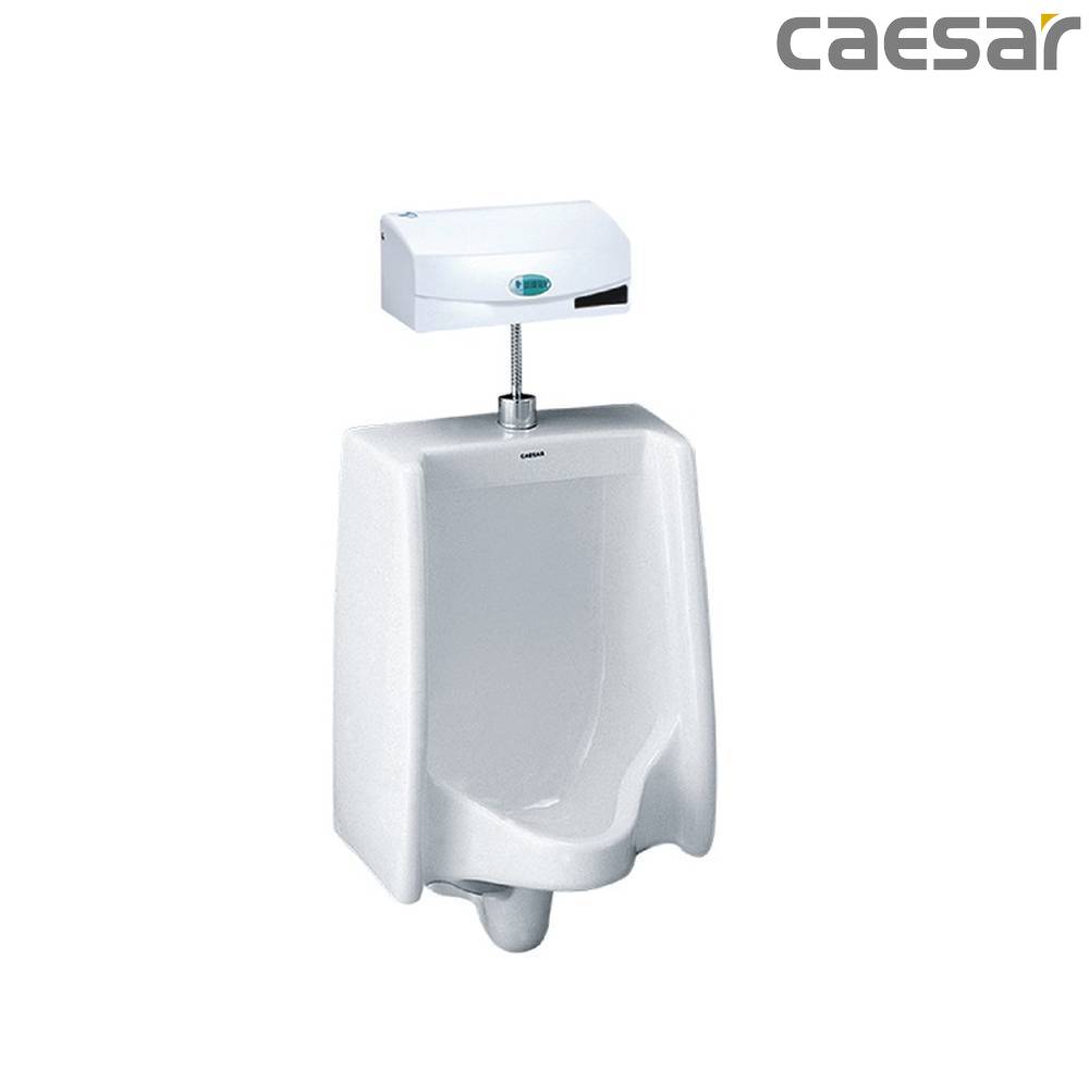 caesar-binh-duong-bon-tieu-caesar-u0240_a623