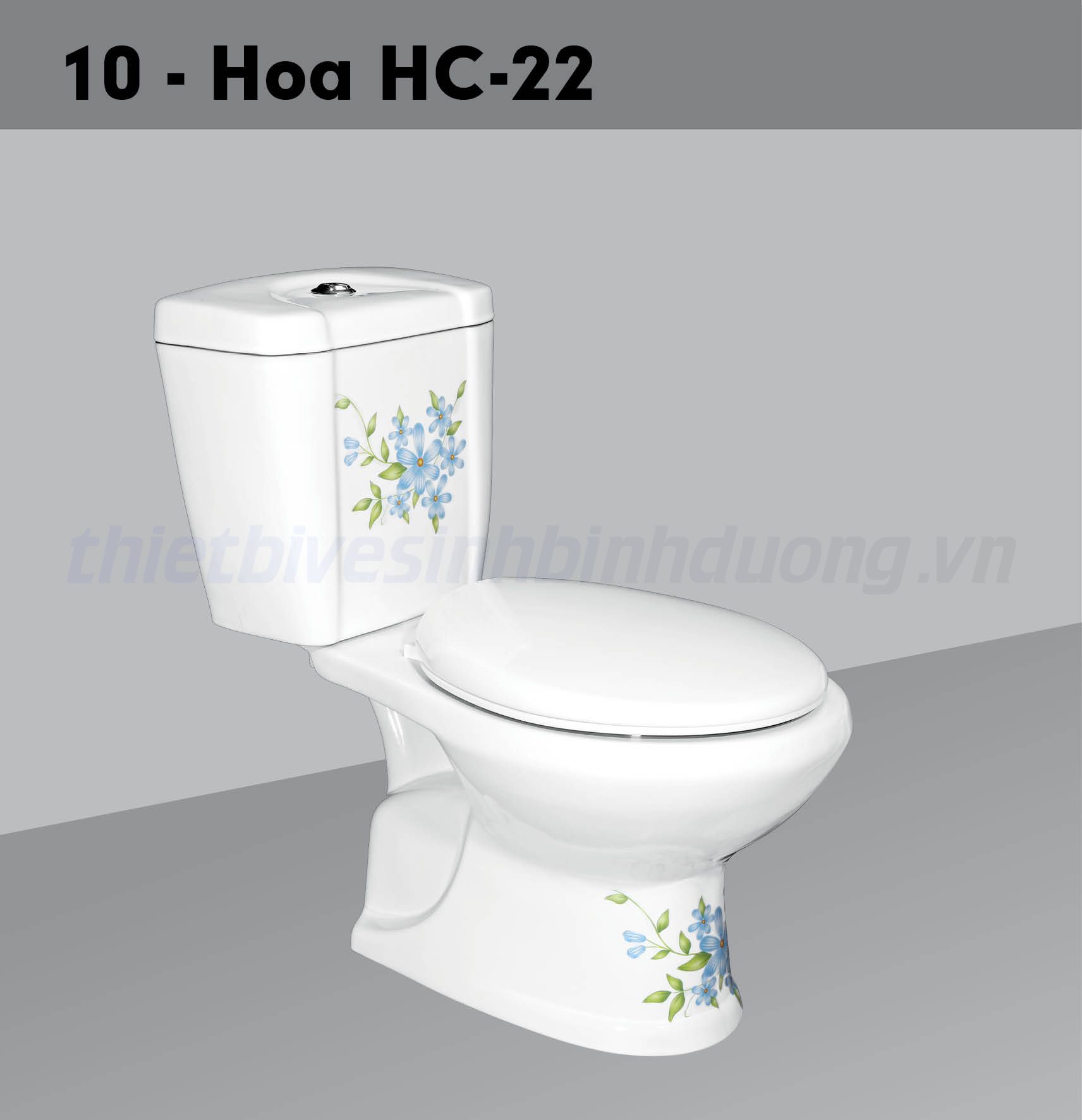 bon-cau-hao-canh-hc-v10