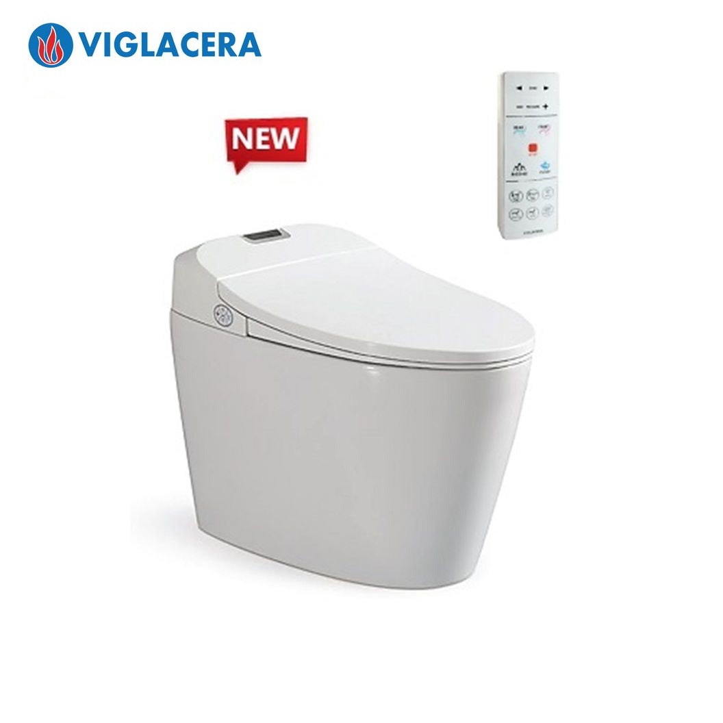 bon-cau-thong-minh-viglacera-v94
