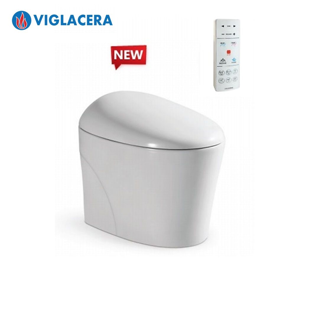 bon-cau-thong-minh-viglacera-v95