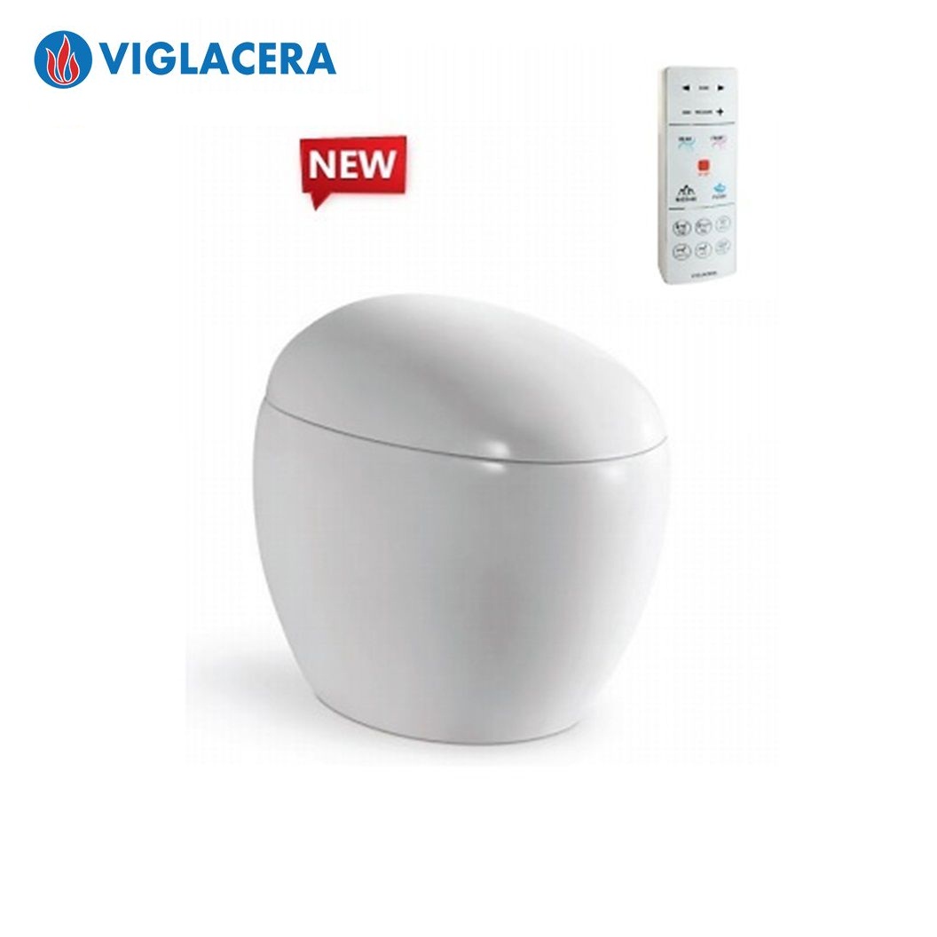 bon-cau-thong-minh-viglacera-v96