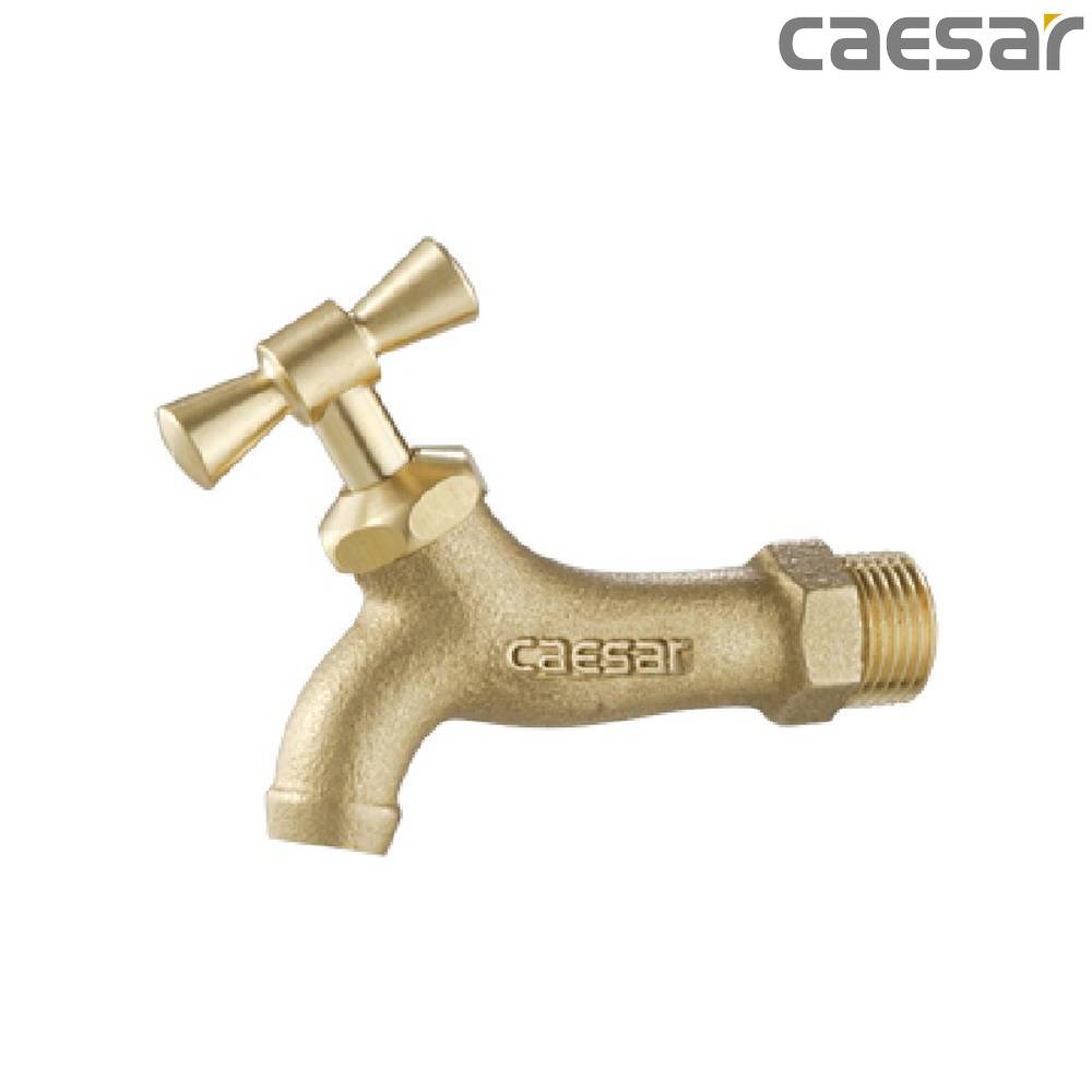 caesar-binh-duong-voi-ho-gan-tuong-caesar-w034
