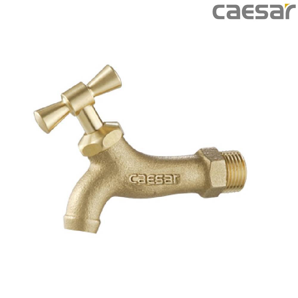 caesar-binh-duong-voi-ho-gan-tuong-caesar-w035
