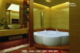 bon-tam-viet-my-14h