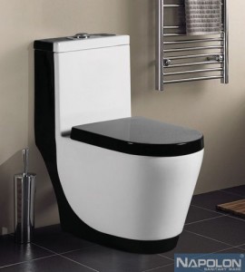 bon-cau-napolon-88004