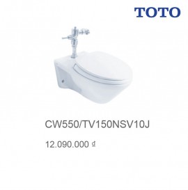 bon-cau-toto-cw550-tv150nsv10j
