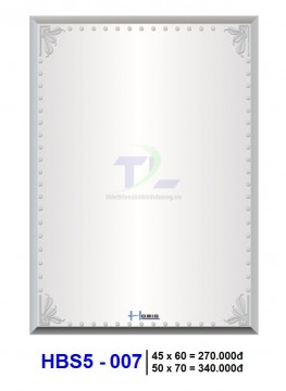 guong-soi-phong-tam-hobig-hbs5-007