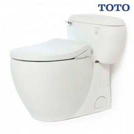 bon-cau-toto-ms366e2-nap-rua-co