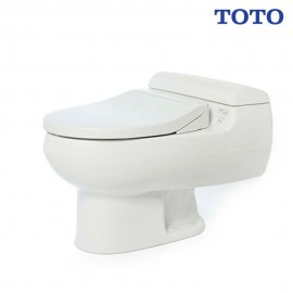 bon-cau-toto-ms436e2-nap-rua-co