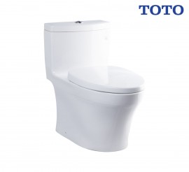 bon-cau-toto-ms889dt3