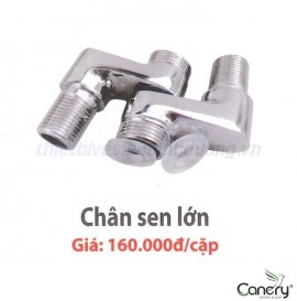 phu-kien-chan-sen-lon-canary