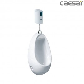 caesar-binh-duong-bon-tieu-caesar-u0221_a656