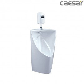 caesar-binh-duong-bon-tieu-caesar-u0233_a657dc