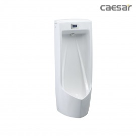 bon-tieu-caesar-ua0284