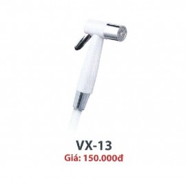 voi-xit-ve-sinh-cary-royal-vx-13