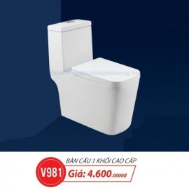 bon-cau-vincy-v981