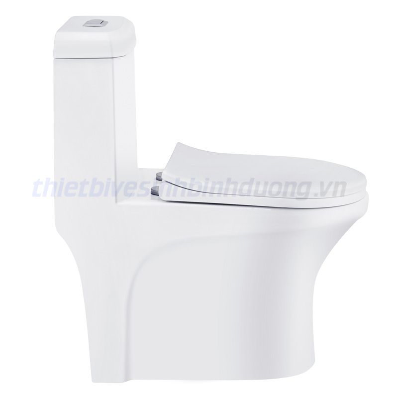 Bồn cầu liền khối Basic BS102